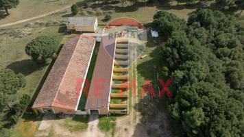 RESIDENCIA CANINA, VIVIENDA Y NEGOCIO EN VENTA photo 0