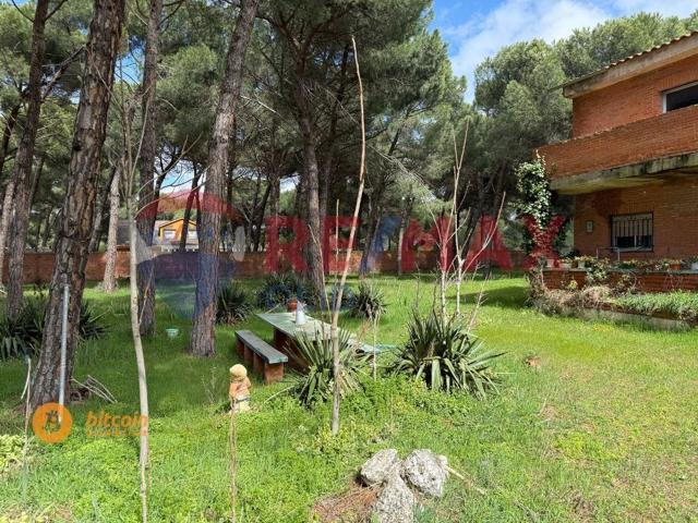 Estupenda parcela rústica con casa para reformar en la urbanización Sapal - Laguna de Duero! photo 0