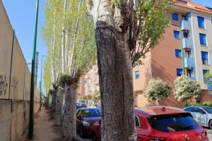 Dúplex con potencial en la avenida de Irún - ¡Crea tu hogar ideal adaptando cada espacio! photo 0