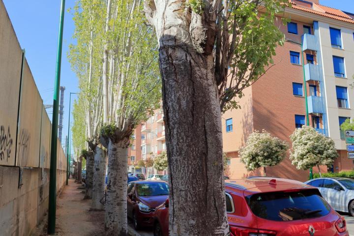 Dúplex con potencial en la avenida de Irún - ¡Crea tu hogar ideal adaptando cada espacio! photo 0