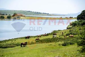 Tu Refugio de Ocio con Vistas al Embalse del Ebro: Desconecta en la Naturaleza photo 0