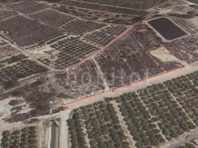 Terreno Urbanizable En venta en Los Montesinos photo 0