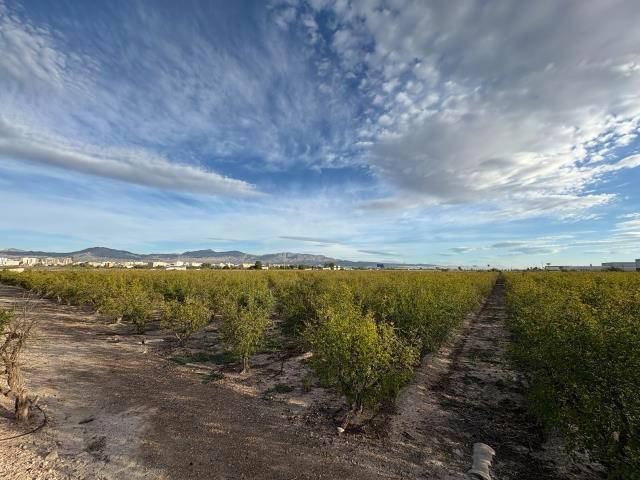 Terreno Urbanizable En venta en Poligono La Granadina, San Isidro photo 0