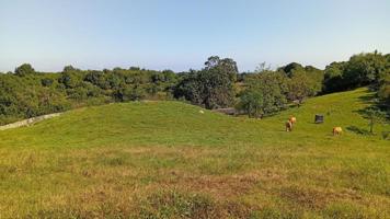 FINCA RUSTICA EN PARRES. LLANES photo 0