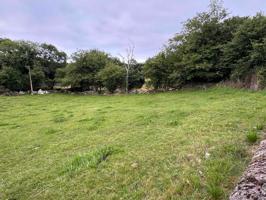 PRECIOSA FINCA EDIFICABLE EN LA BORBOLLA. photo 0