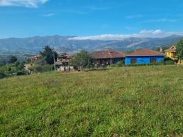 PARCELA EDIFICABLE EN EL CONCEJO DE PARRES photo 0