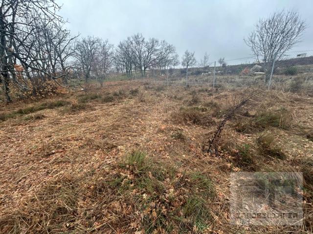 Terreno Urbanizable En venta en Las Navas Del Marqués photo 0