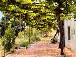 Cortijo El Molino tranquilidad absoluta con finca de aguacates photo 0