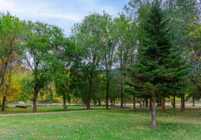 Balneario de Camarena de la Sierra en venta con 55.000 m2 de terreno photo 0