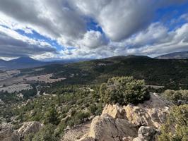 '¡Descubre el Paraíso en 'Las Presillas'! Terreno con Viñedos en Huescar GRANADA photo 0