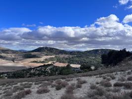 '¡Descubre el Paraíso en 'Las Presillas'! Terreno con Viñedos en Huescar GRANADA photo 0