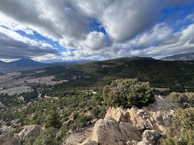 '¡Descubre el Paraíso en 'Las Presillas'! Terreno con Viñedos en Huescar GRANADA photo 0