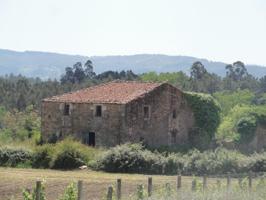 Descubre la Finca Xian, ¡invierte en tu viñedo soñado! photo 0