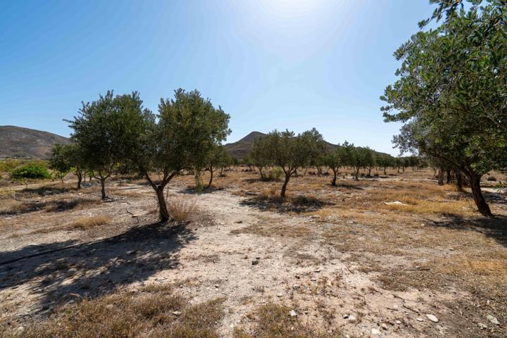 Finca de 18 Hectáreas en Tabernas photo 0