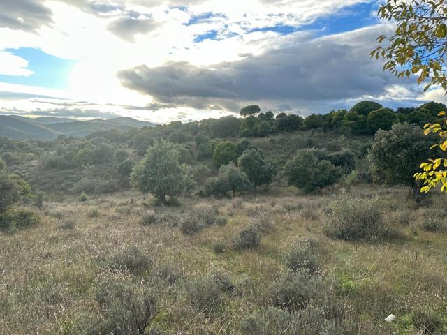 Se Venden 8 Fincas a solo 40 Min de Madrid – ¡Haz tu Oferta! photo 0
