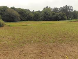 FINCA EN VENTA EN BERGONDO photo 0