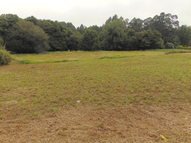 FINCA EN VENTA BERGONDO photo 0