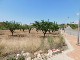 Amplia Parcela de 877 m² en Urbanización El Llano de Caravaca photo 0