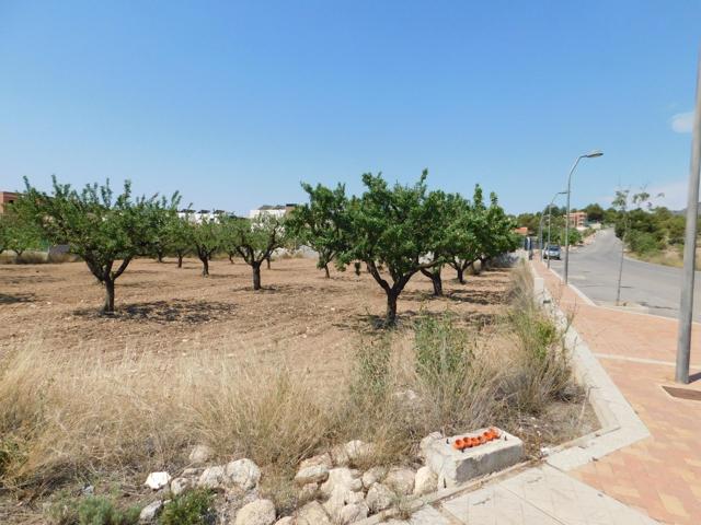 Amplia Parcela de 877 m² en Urbanización El Llano de Caravaca photo 0
