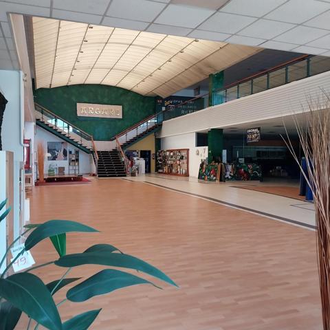 Venta de pabellón industrial photo 0