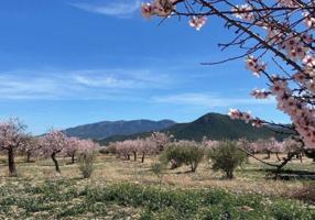 ESPECTACULAR FINCA EN VÉLEZ RUBIO photo 0