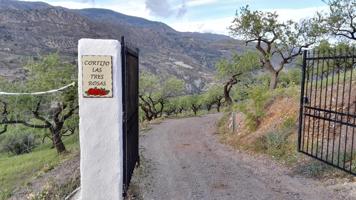 Cortijo ecologico con vistas al rio y piscina photo 0