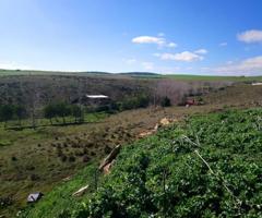 Finca de 10 Ha frente a Hotel Don Fadrique photo 0