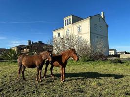 Encanto Histórico con Vistas Únicas en ASTURIAS photo 0