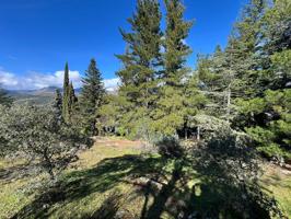 🌲 ¡Haz realidad tu sueño de vivir en plena naturaleza! 🌲 photo 0
