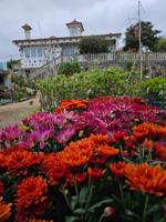 vivero con casa y Nave photo 0