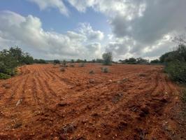 Se vende finca rústica edificable en Llucmajor photo 0
