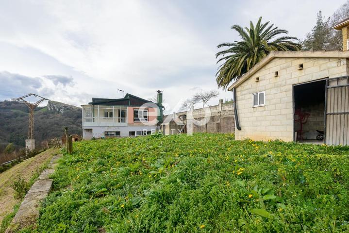 CASA CON FINCA Y TERRENO DE 1.300 m² + CUADRA photo 0