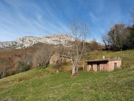 Parcela con dos cabañas en la montaña central de Asturias. photo 0