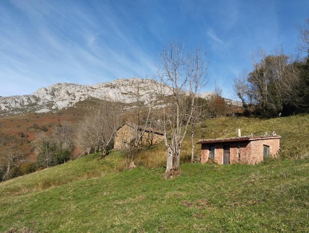 Preciosa parcela con dos cabañas en la montaña central de Asturias. photo 0