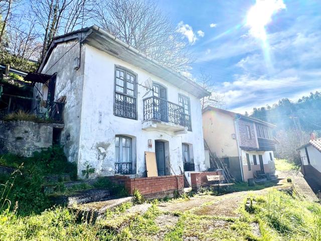 Te presentamos una oportunidad de vivir en zona rural en Mieres. photo 0