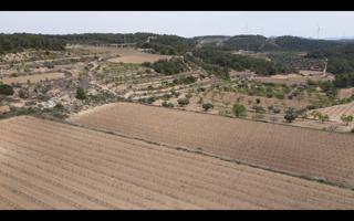 Finca rústica con masía del siglo XVIII catalogada – Caseres, Terra Alta (Tarragona) photo 0