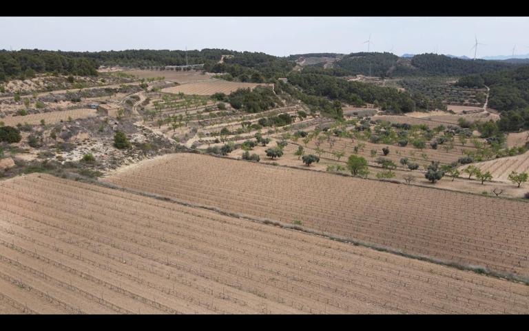 Finca rústica con masía del siglo XVIII catalogada – Caseres, Terra Alta (Tarragona) photo 0