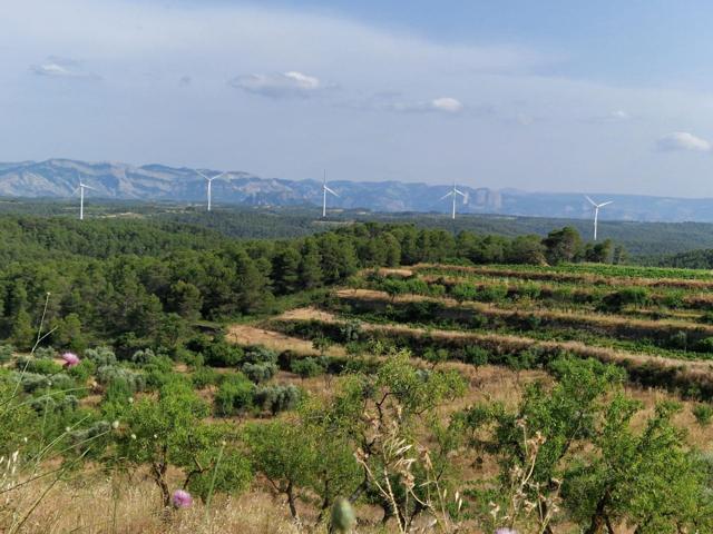Finca rústica con masía del siglo XVIII catalogada – Caseres, Terra Alta (Tarragona) photo 0