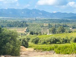 En venta: Finca rústica de cultivo en El Guiamets (Priorat) photo 0