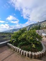 GRAN POTENCIAL DE FINCA RÚSTICA EN GUIMAR (SANTA CRUZ DE TENERIFE) photo 0