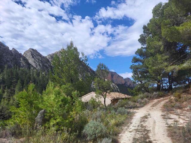 MASÍA EN FINCA DE 30 Ha EN PLENO BOSQUE MEDITERRÁNEO Y A 20 KMS DE BENIDORM photo 0