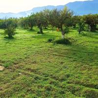 BONITA FINCA LLANA Y CON AGUA photo 0