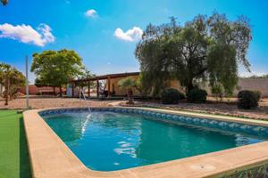 Chalet independiente con Piscina, Gimnasio y Zona de Barbacoa en Torrevieja, La Siesta photo 0