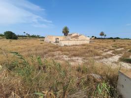Terreno grande Las Bayas, Elche photo 0
