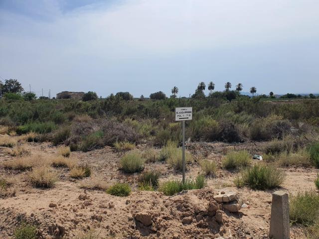 Terreno cerca de la playa de La Marina, Elche photo 0