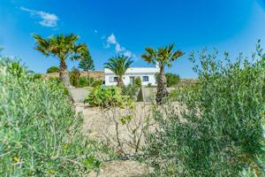 🌿 Cortijo increíble en Fernán Pérez (Níjar) photo 0