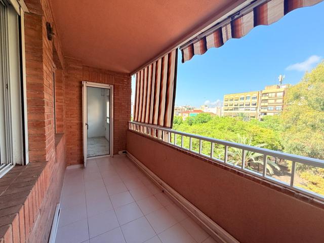 Tu nuevo hogar en el corazón de Alicante, con terraza y luz todo el día photo 0