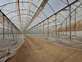 Invernadero ecológico de 22.000 m² con climatización y agua garantizada – Venta del Pobre photo 0