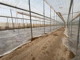 Invernadero ecológico de 5.000 m² en parcela de 1,2 ha – Listo para producir photo 0