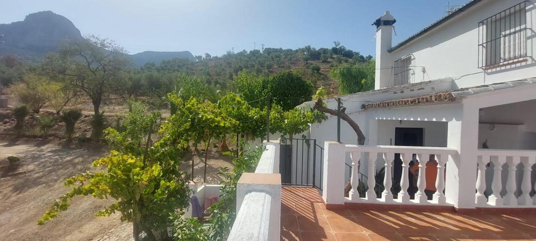 ¡¡¡¡¡Exclusiva finca de 45000 m2, ubicada en plena naturaleza en termino municipal de El Gastor!!!!!! photo 0